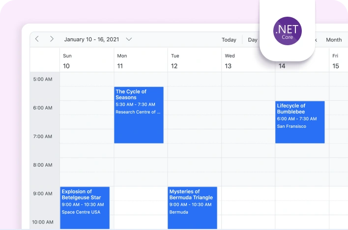ASP.NET Core framework