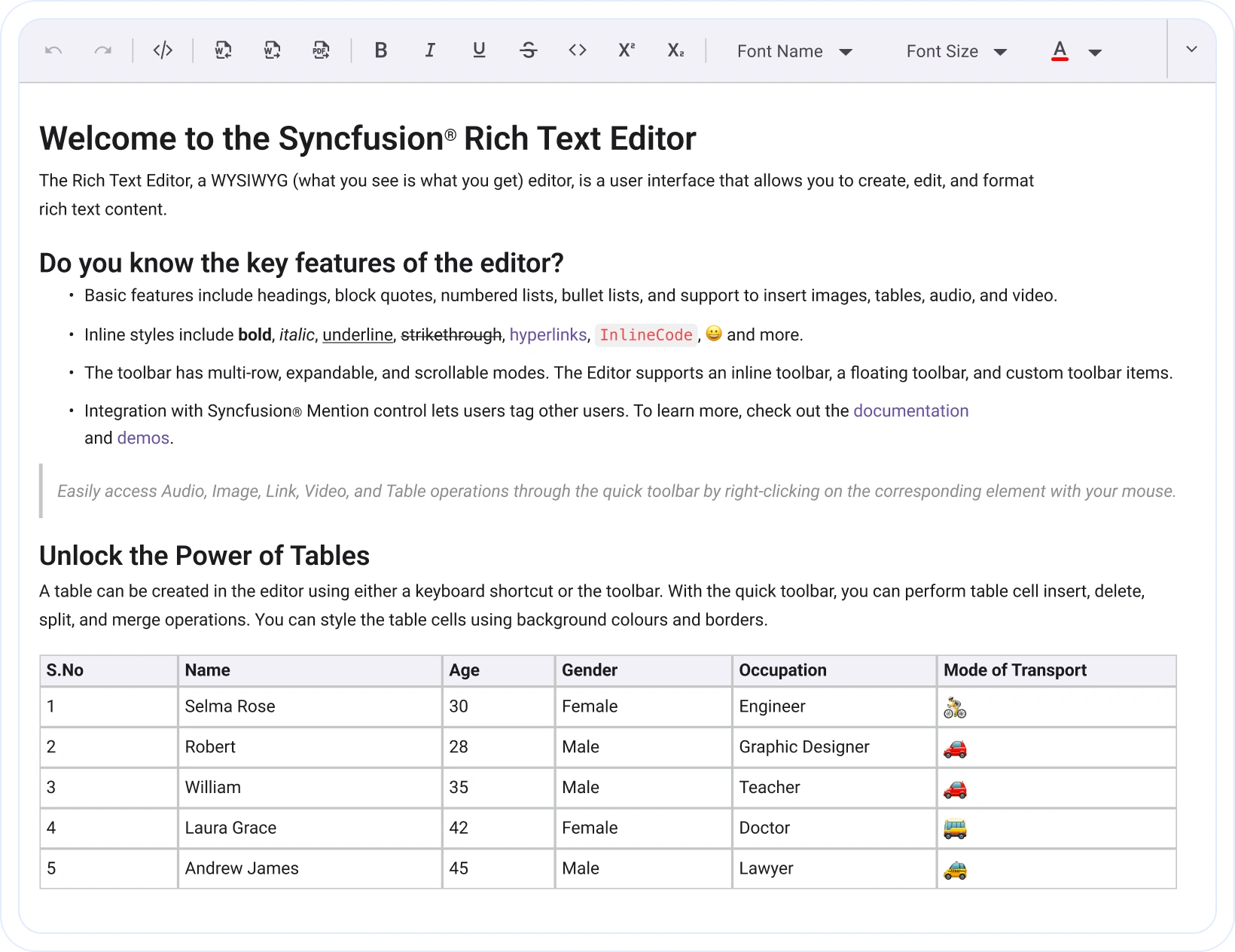 Rich Text Editor SDK