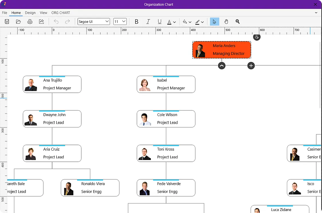 Organizational Layout - Interactive WPF Showcase Apps | Syncfusion®