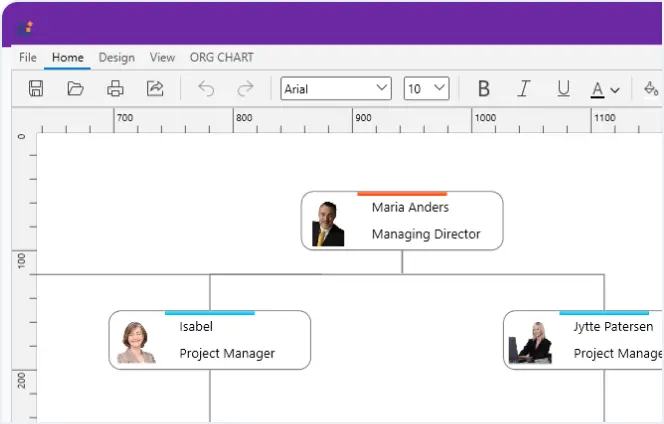 Organizational Layout