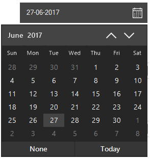 WinForms Date-Time Edit